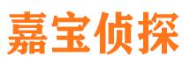 平山寻人公司